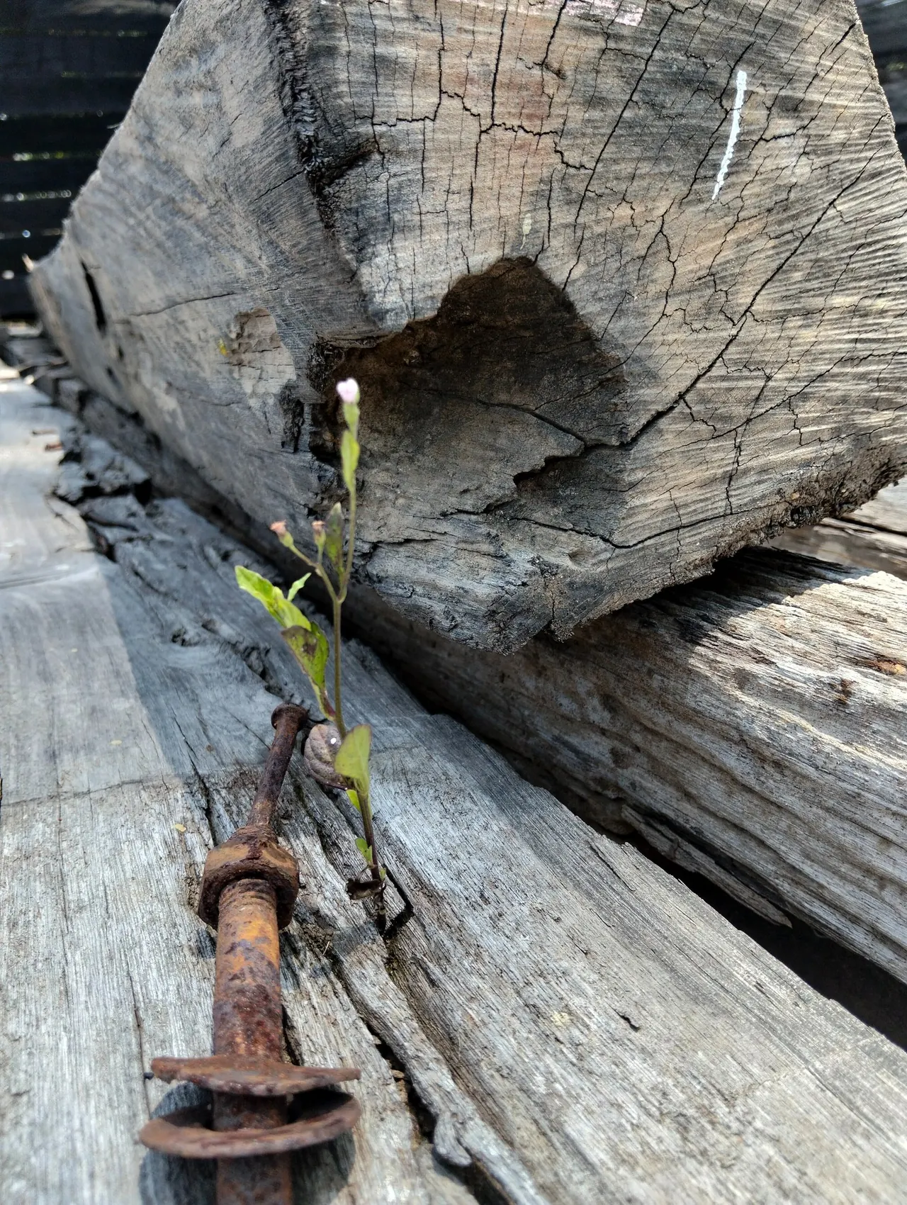 Why Reclaimed Wood Is the Future of Sustainable Architecture in Bali — Kitaru Lumberyard Bali